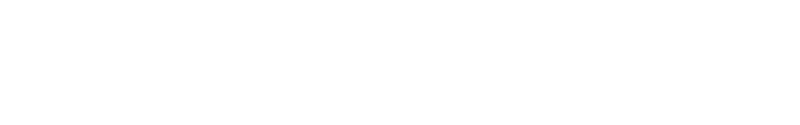 Logo FastFrame Principal